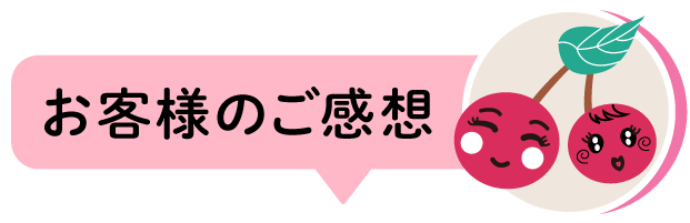 お客様のご感想